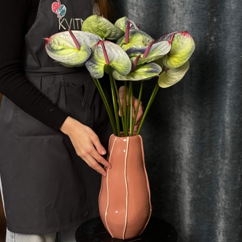 Exclusive Polar Light Anthuriums
