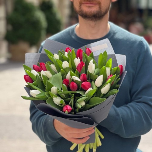 Mix of 35 Classic Tulips «Snow and Rubies»