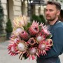 Exotic Protea — Assorted Varieties