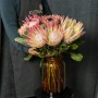 Exotic Protea — Assorted Varieties