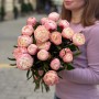 Півонія Gardenia