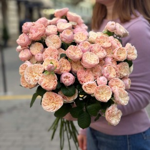 Троянда кущова півонієвидна Royal Blush