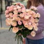 Троянда кущова півонієвидна Royal Blush