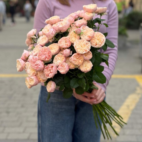 Троянда кущова півонієвидна Royal Blush