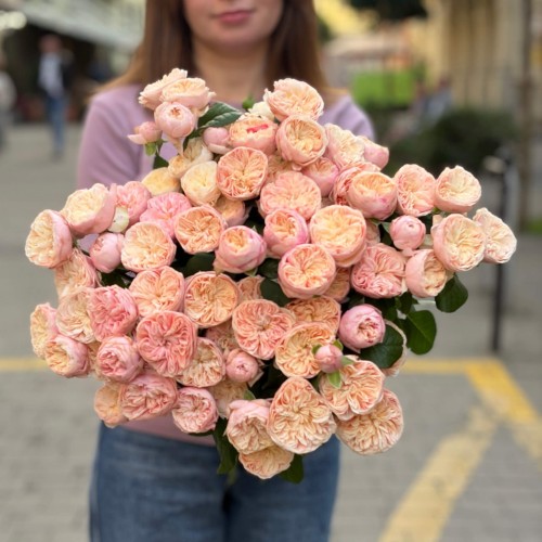 Троянда кущова півонієвидна Royal Blush