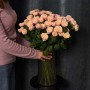Троянда кущова півонієвидна Royal Blush