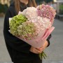 5 нежных гортензий в букете «Утренняя нежность»