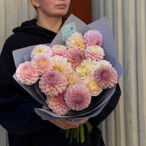 17 георгин в букете «Ромашковый джем»