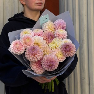Bouquet of 17 Dahlias «Chamomile Jam»