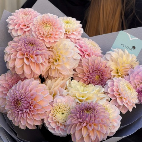 Bouquet of 17 Dahlias «Chamomile Jam»