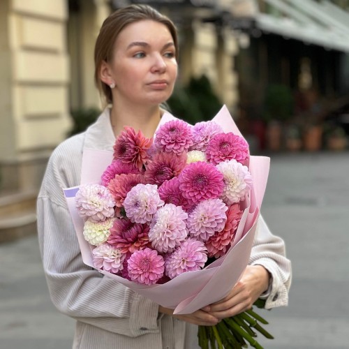 Mix of 25 Pink Dahlias «Autumn Berries»