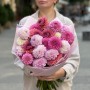 Mix of 25 Pink Dahlias «Autumn Berries»