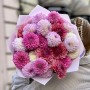 Mix of 25 Pink Dahlias «Autumn Berries»
