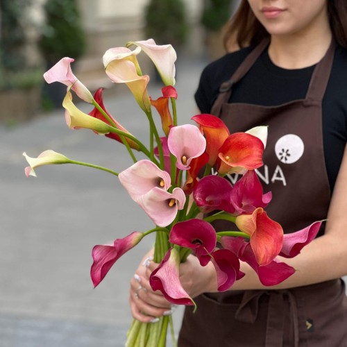 Калла в асортименті