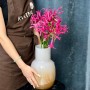 Exotic Nerine