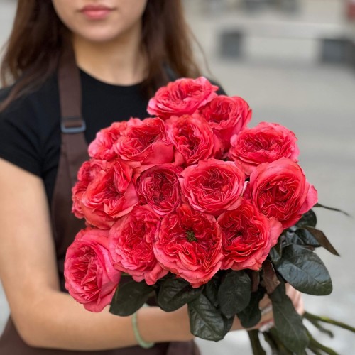 Півонієвидна троянда Romance X-Pression