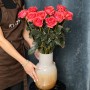 Півонієвидна троянда Romance X-Pression