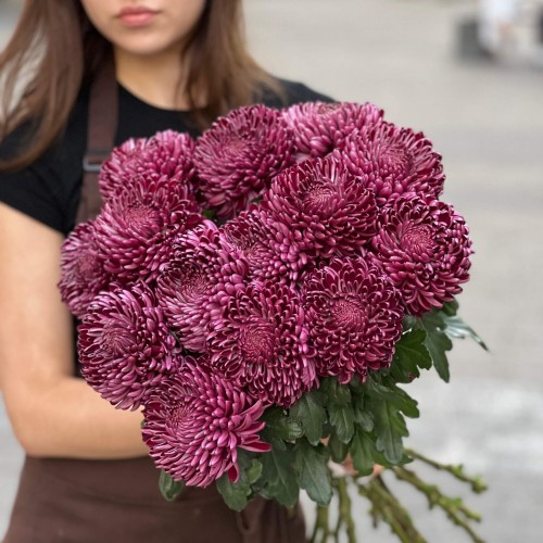 Хризантема Bigoudi Purple