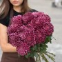 Хризантема Bigoudi Purple