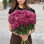 Хризантема Bigoudi Purple