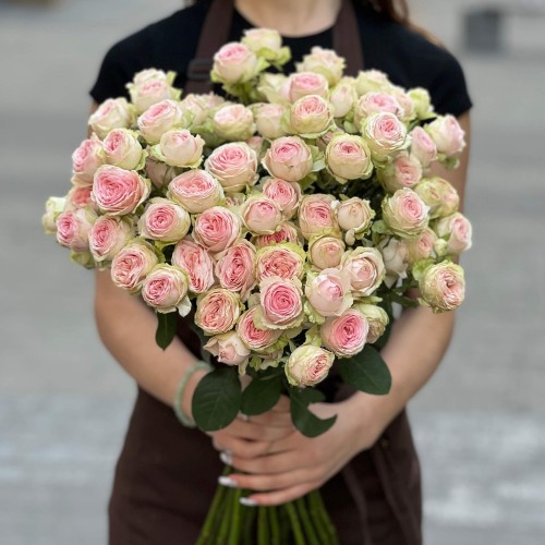 Кущова півонієвидна троянда Sweet Giselle