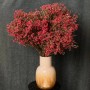 Red Bunch Chamelaucium