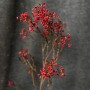Red Bunch Chamelaucium