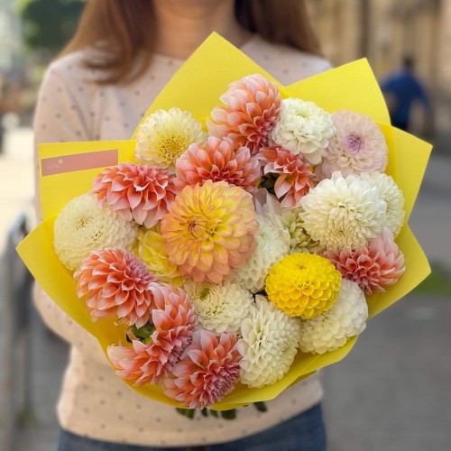 Mix of 25 Dahlias «Apricot Confiture»