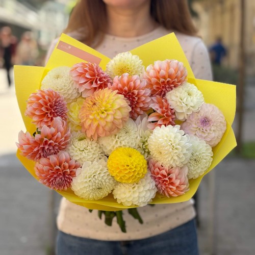 Mix of 25 Dahlias «Apricot Confiture»