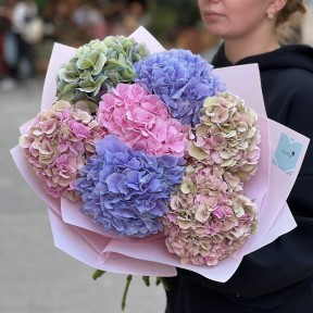 Bouquet of 7 Hydrangeas in Pastel Tones «Powder Luxury»