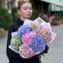 7 гортензій у пастельних тонах у букеті «Пудрова розкіш»