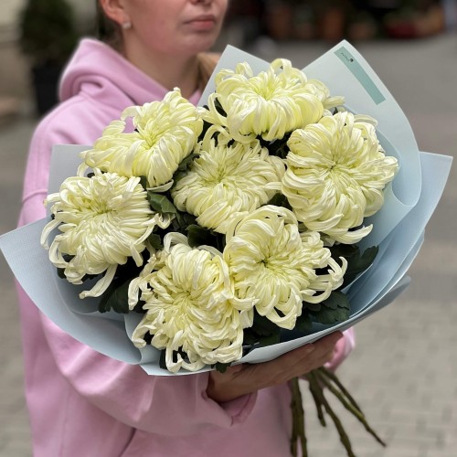 7 розкішних об'ємних хризантем Vienna White у букеті «Дотик ангела»