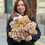 Троянда кущова півонієвидна Princess Hana