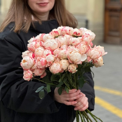 Троянда кущова півонієвидна Princess Suki