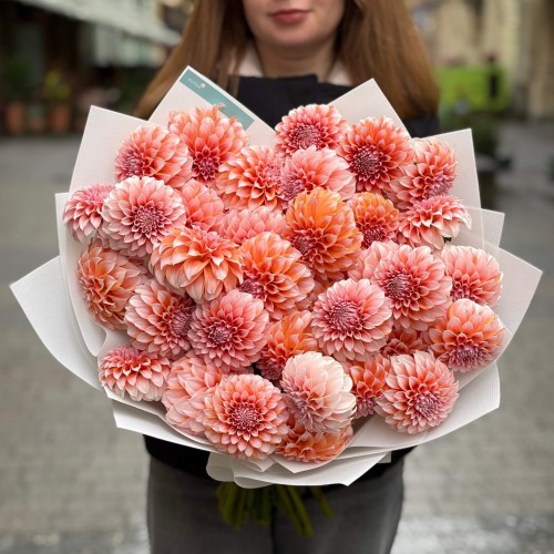 35 жоржин сорту Peaches N' Cream у букеті «Персичок»
