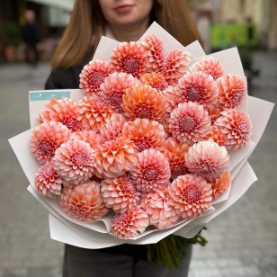 35 жоржин сорту Peaches N' Cream у букеті «Персичок»