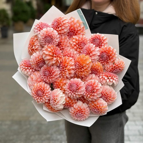 35 жоржин сорту Peaches N' Cream у букеті «Персичок»