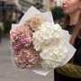 Bouquet of 5 Hydrangeas «Strawberry Ice Cream»