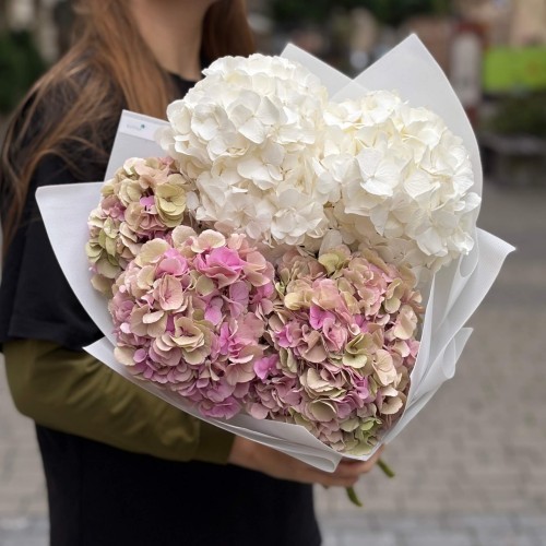 Bouquet of 5 Hydrangeas «Strawberry Ice Cream»