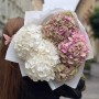 Bouquet of 5 Hydrangeas «Strawberry Ice Cream»