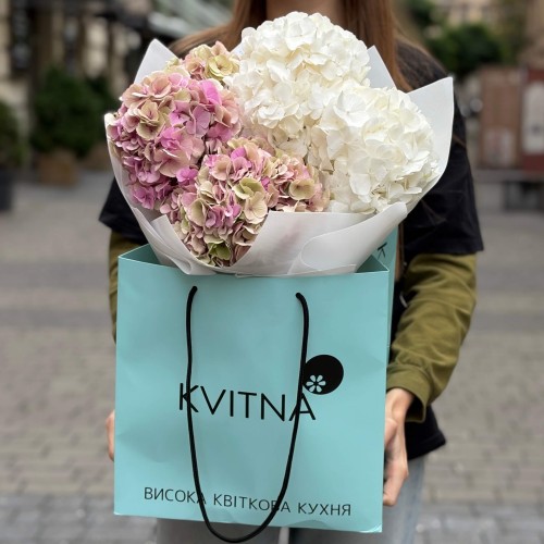 Bouquet of 5 Hydrangeas «Strawberry Ice Cream»