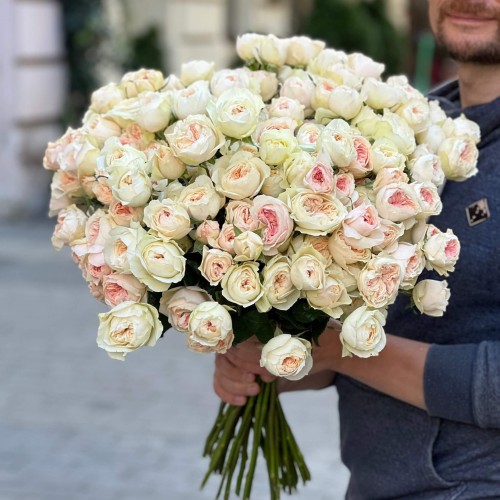 Boomie Gardens Spray Peony Rose