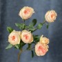 Boomie Gardens Spray Peony Rose