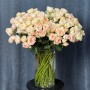 Boomie Gardens Spray Peony Rose