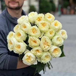 Півонієвидна троянда Antonia Garden