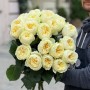 Півонієвидна троянда Antonia Garden