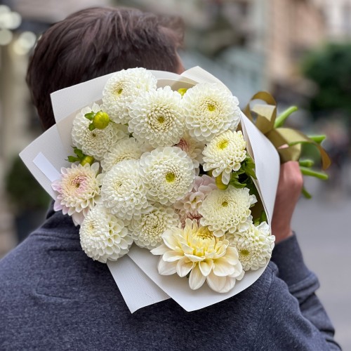 Bouquet of 15 Light Dahlias «Pure Melody»