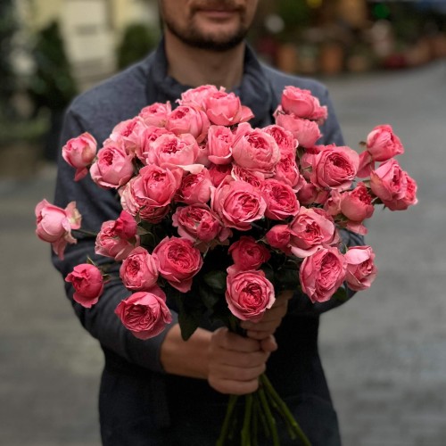 Boomerang Spray Peony Rose
