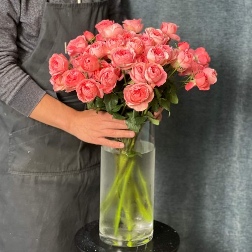 Boomerang Spray Peony Rose