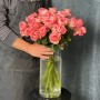 Boomerang Spray Peony Rose